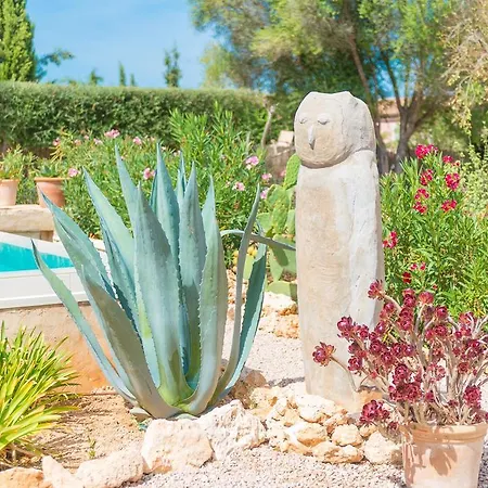 Pina - Eco Cascada - (adults Only) *